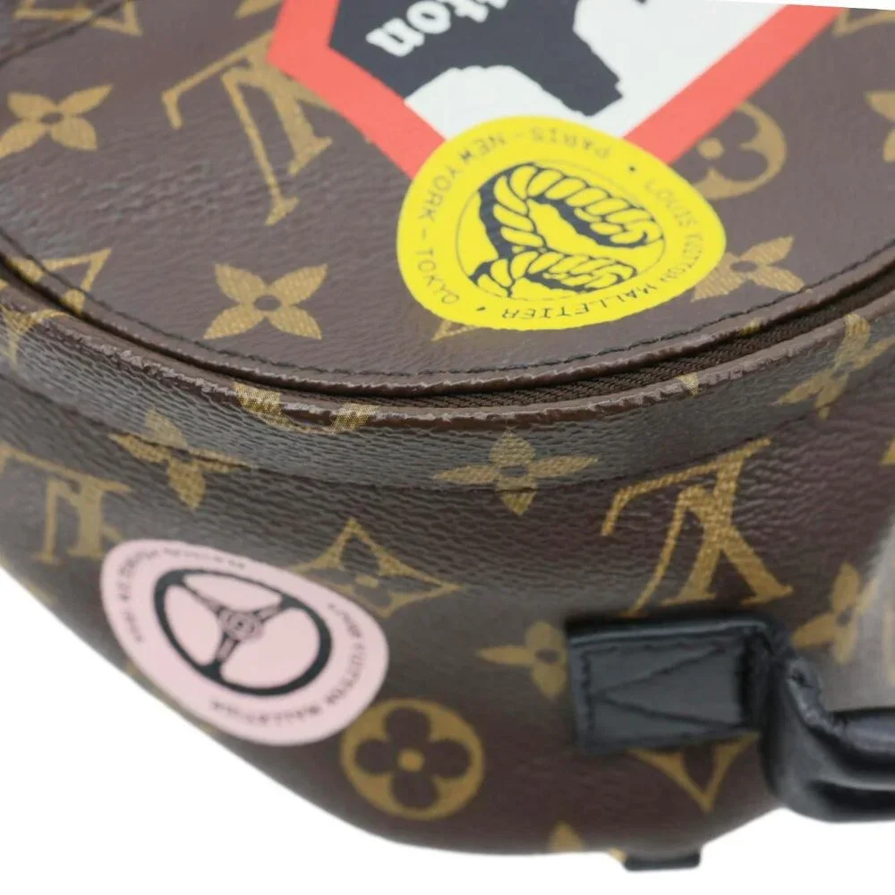 Louis Vuitton  Palm Spring World Tour Monogram Canvas Backpack Brown - Picture 8 of 14